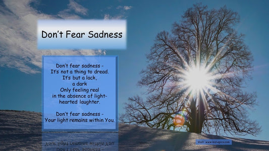 Don't Fear Sadness - Poster | Kid-Epics Expressions