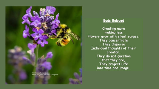Buds Beloved Flower - Poster